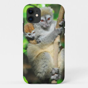 Madagascar, Andasibe, Ile Aux Lemuriens, Mother iPhone 11 Case