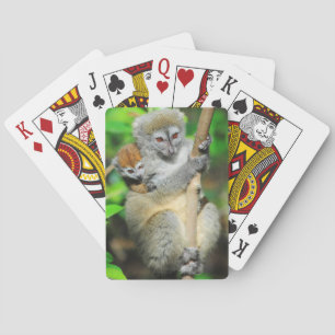 Madagascar, Andasibe, Ile Aux Lemuriens, Mother Playing Cards