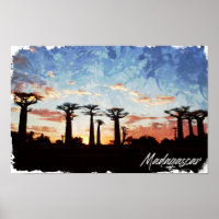 Madagascar Avenue of the Baobabs Panorama View
