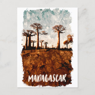 Madagascar Avenue of the Baobabs Scenery Postcard