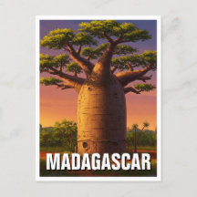 Madagascar Baobab Tree Travel