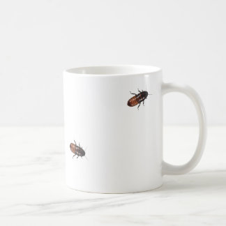Madagascar Cockroaches Invade Coffee Mug