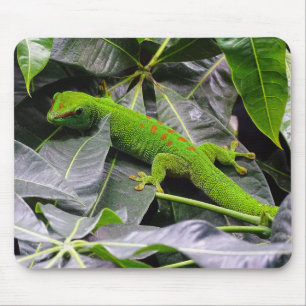 Madagascar day gecko mouse mat