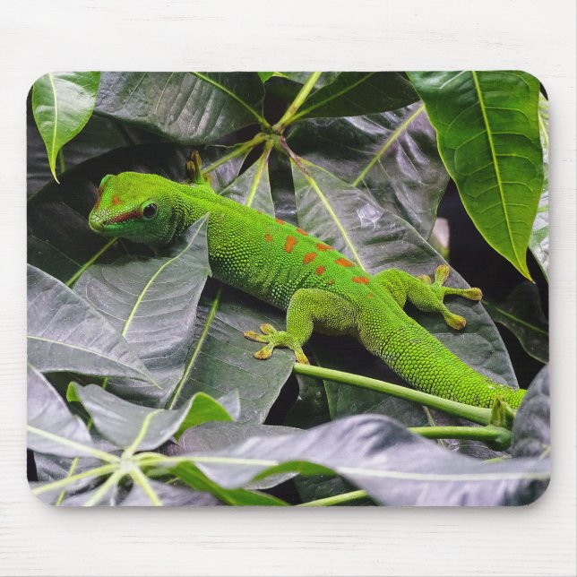 Madagascar day gecko mouse mat (Front)