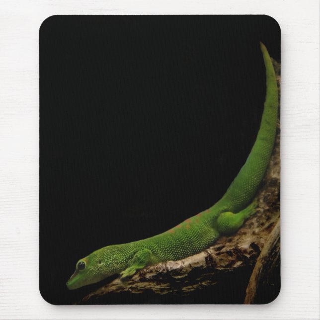 Madagascar day Gecko mousepad (Front)
