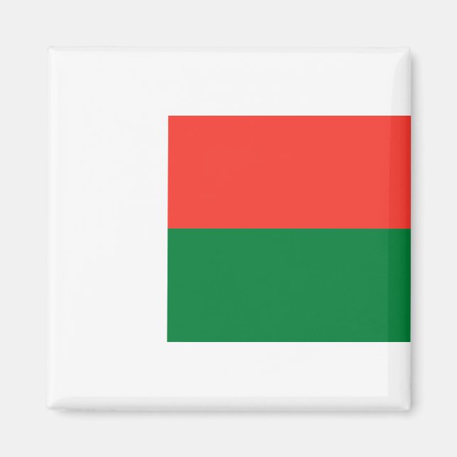 Madagascar Flag Magnet (Front)