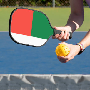 Madagascar flag pickleball paddle