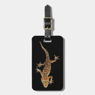 Madagascar ground gecko (Paroedura pictus) on Luggage Tag