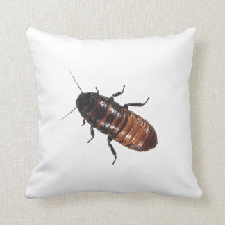 Madagascar Hissing Cockroach Cushion