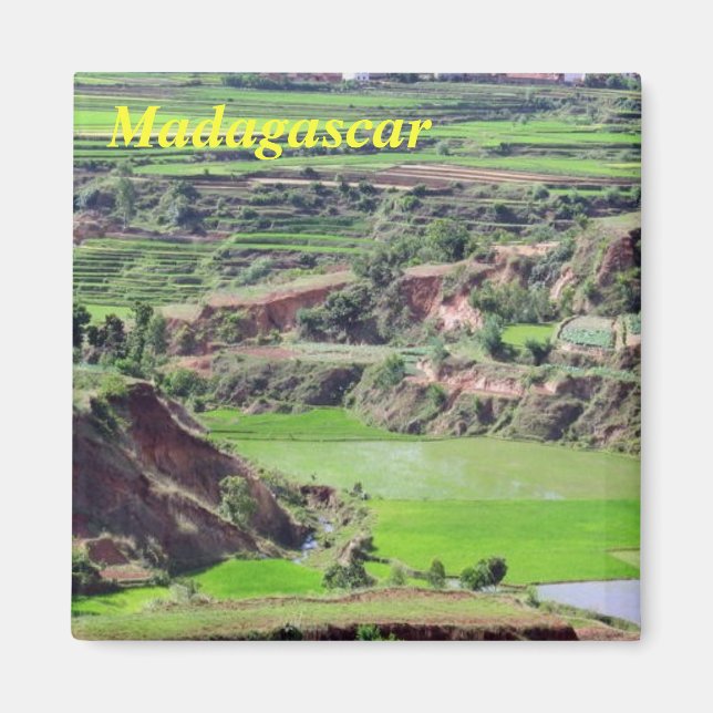 Madagascar magnet (Front)