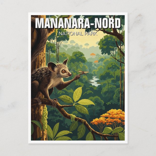 Madagascar Mananara-Nord National Park Travel Postcard (Front)