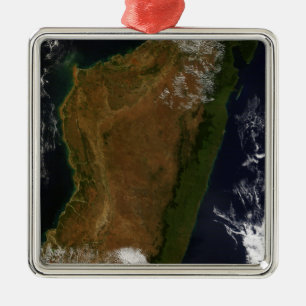 Madagascar Metal Tree Decoration