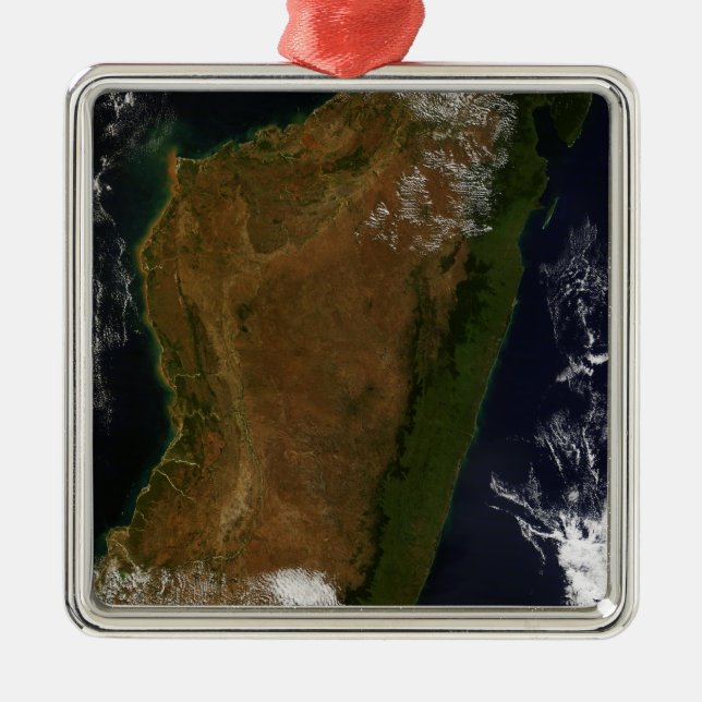 Madagascar Metal Tree Decoration (Front)