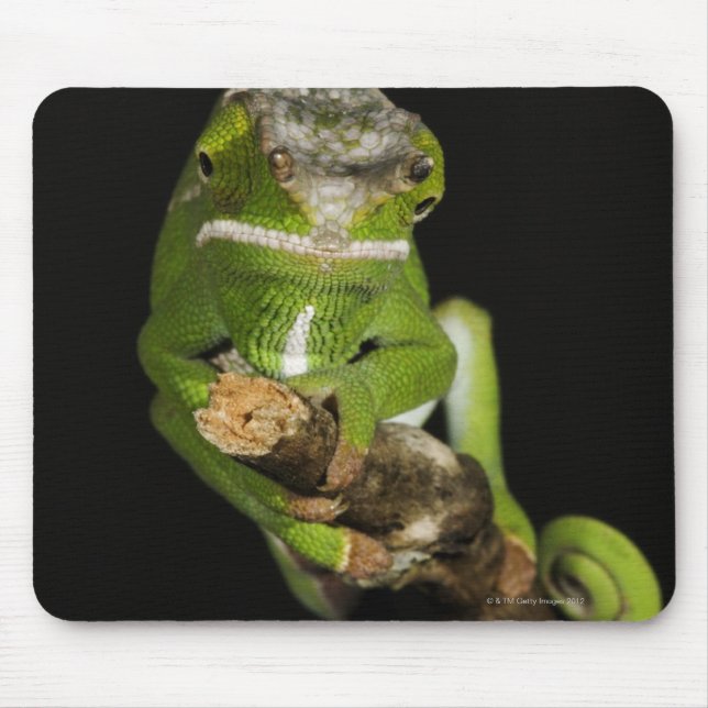 Madagascar Mouse Mat (Front)