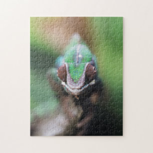 Madagascar, Red bar Panther Chameleon Jigsaw Puzzle