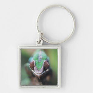Madagascar, Red bar Panther Chameleon Key Ring