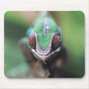 Madagascar, Red bar Panther Chameleon Mouse Mat