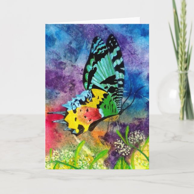 Madagascar Splash Profile Card (Front)