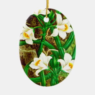 Madagascar Vanilla Orchid Ceramic Tree Decoration