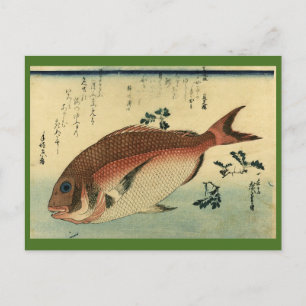 Madai or Red Tai - Hiroshige's Japanese Fish Print Postcard