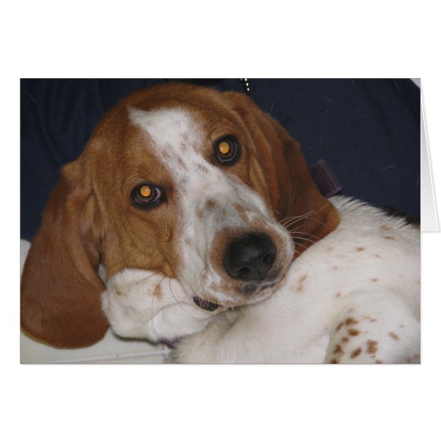 Maddy May (Front Horizontal)