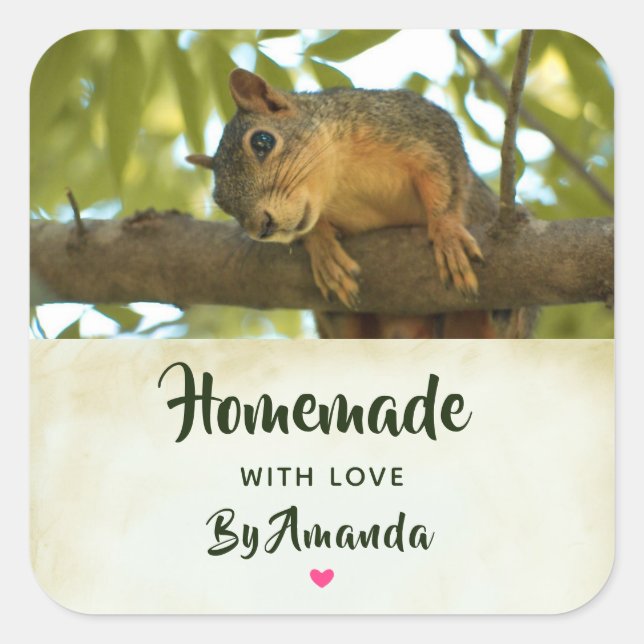 Made with Love Cute Curious Squirrel Nature Photo Square Sticker (Front)