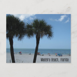 Madeira Beach Palms Postcard