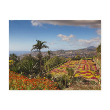 Madeira - Botanical garden of Funchal postcard
