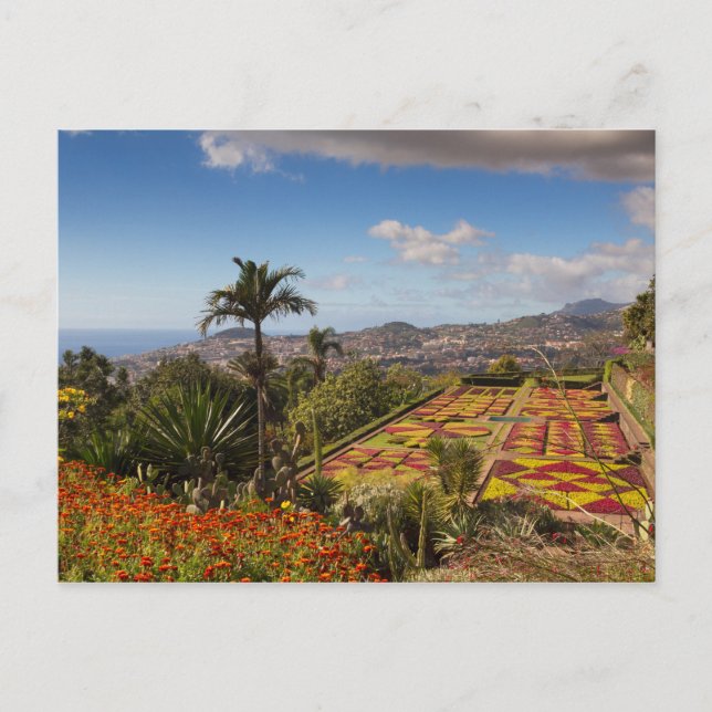 Madeira - Botanical garden of Funchal postcard (Front)