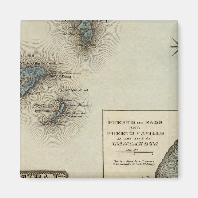 Madeira Ids Magnet (Front)