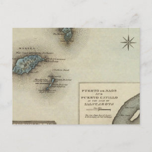 Madeira Ids Postcard