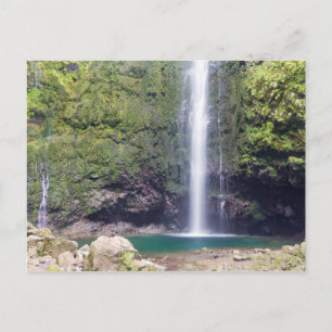 Madeira - Levada Do Caldeirao Verde postcard