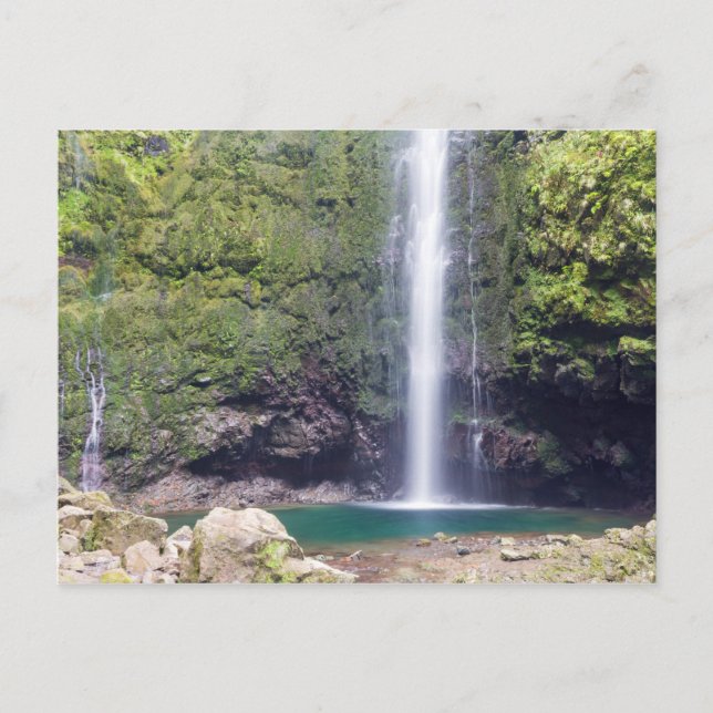 Madeira - Levada Do Caldeirao Verde postcard (Front)