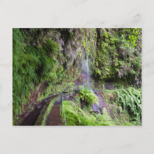 Madeira - Levada do Rei postcard