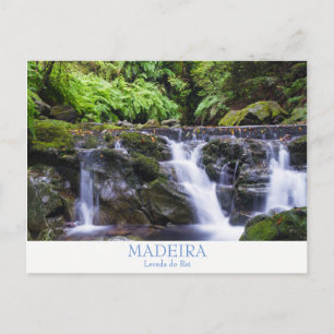 Madeira - Levada do Rei postcard with text