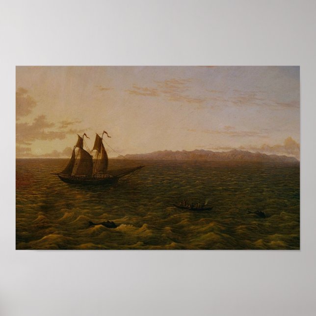 Madeira Poster (Front)