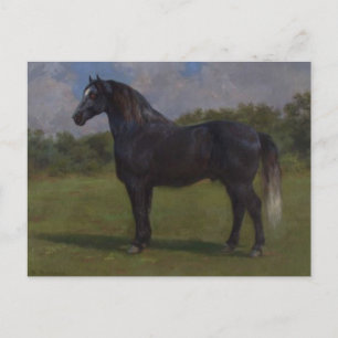 Madere by Rosa Bonheur Postcard
