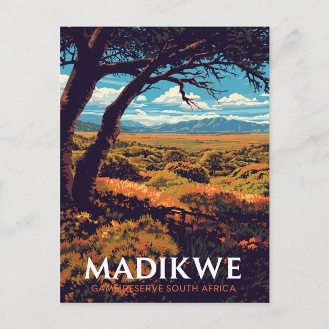 Madikwe Reserve South Africa Postcard (Front)