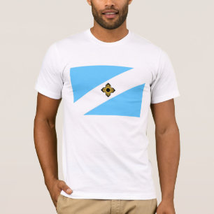 Madison city flag Wisconsin state America country T-Shirt