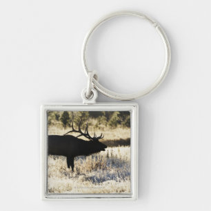 Madison River, Yellowstone NP, Wyoming, USA Key Ring