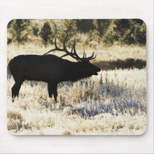 Madison River, Yellowstone NP, Wyoming, USA Mouse Mat