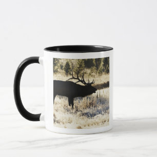Madison River, Yellowstone NP, Wyoming, USA Mug