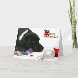 Madison the Black Labrador Christmas Card