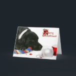 Madison the Black Labrador Christmas Card<br><div class="desc">This sweet Christmas Card features Madison,  a beautiful female Black Labrador Retriever.</div>