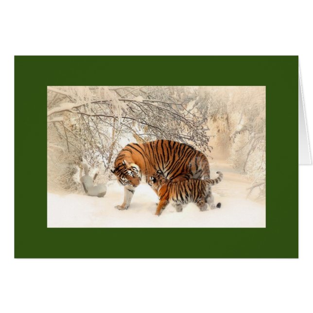 MADONNA AND CUB TIGERS IN THE SNOW GREETING CARD (Front Horizontal)