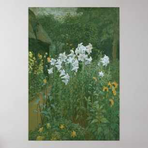 Madonna Lilies in a Garden Poster