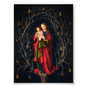Madonna of the Dry Tree (Petrus Christus, 1462-5) Photo Print