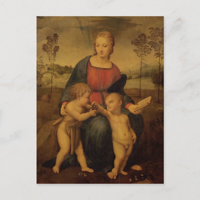 Madonna of the Goldfinch, c.1506 Postcard (Front)