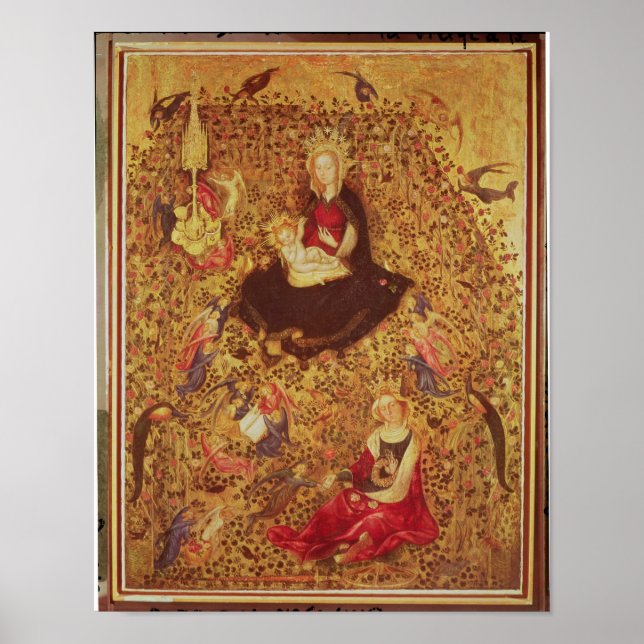 Madonna with a Rose Bush Poster (Front)