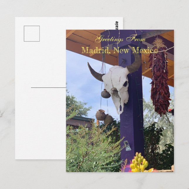 Madrid NM Bull Skull Red chile ristra Postcard (Front/Back)